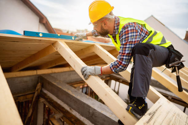 Best Roof Gutter Cleaning  in Garden City, ID